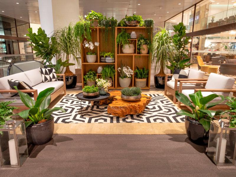Catê Poli assina ambiente na 1ª mostra D&D Garden Design